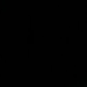 Meet your Posher, Sammy